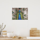 Pfau für Besucher Poster (Küche)