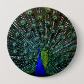 "Pfau-Gefieder-" Button (Vorderseite)