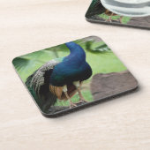 Pfau gehockt auf Felsen Getränkeuntersetzer (Linke Seite)