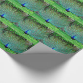 Pfau geringfügig geschenkpapier (Ecke)