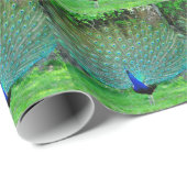 Pfau geringfügig geschenkpapier (Rolleneckpunkt)