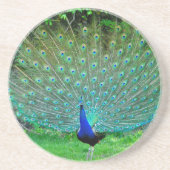 Pfau geringfügig untersetzer (Vorne)