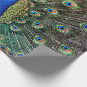 Pfau Geschenkpapier (Ecke)