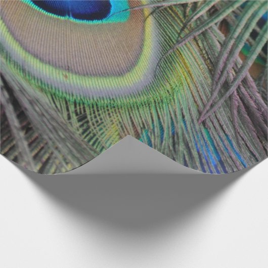Pfau Geschenkpapier (Ecke)
