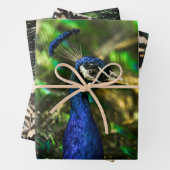 Pfau-Geschenkpapier Geschenkpapier Set (Beispiel)