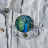 Pfau, großer Knopf Button (Beispiel)
