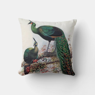 Pfau, grüner Pfau pavo muticus 1872 ... Kissen
