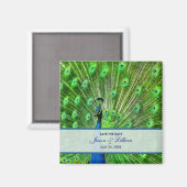 Pfau-Hochzeit Save The Date Magnet (Vorderseite/Rückseite)