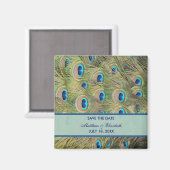 Pfau-Hochzeit Save The Date Magnet (Vorderseite/Rückseite)
