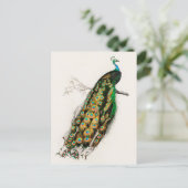 Pfau Illustration Vintage Kunstdruckerei Postkarte (Stehend Vorderseite)