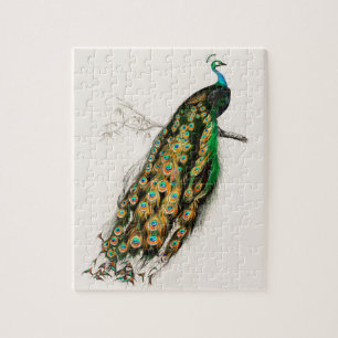 Pfau Illustration Vintage Kunstdruckerei Puzzle
