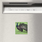 Pfau im Feld Magnet (In Situ (Geschirrspüler))