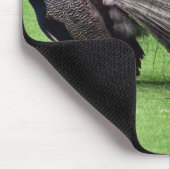 Pfau im Feld Mousepad (Ecke)