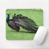 Pfau im Feld Mousepad (Mit Mouse)