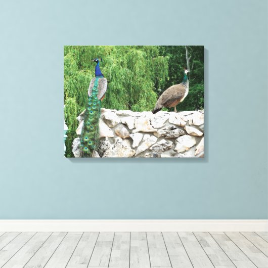 Pfau im Garten Fotografie Museo Cantonale d'Arte Leinwanddruck (Insitu (Holzboden))