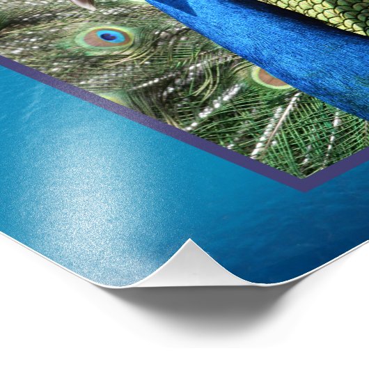 Pfau im ozeanischen Hintergrund Fotodruck (Ecke)