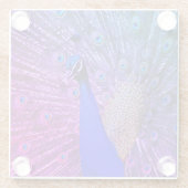 Pfau im vollen Ruhm Glasuntersetzer (Rückseite)