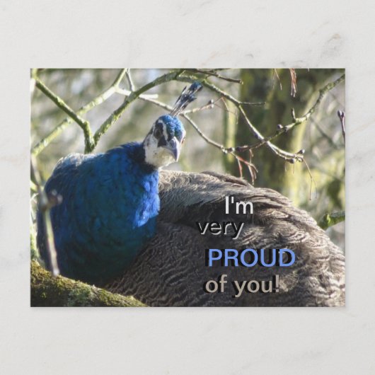 Pfau in Baum PROUD of You! Postkarte (Vorderseite)