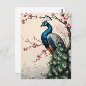 Pfau in einem Kirschblossom Postkarte (Vorne/Hinten)