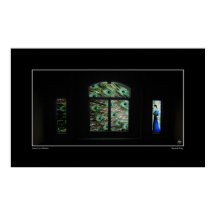 Pfau in einem Windows-Poster