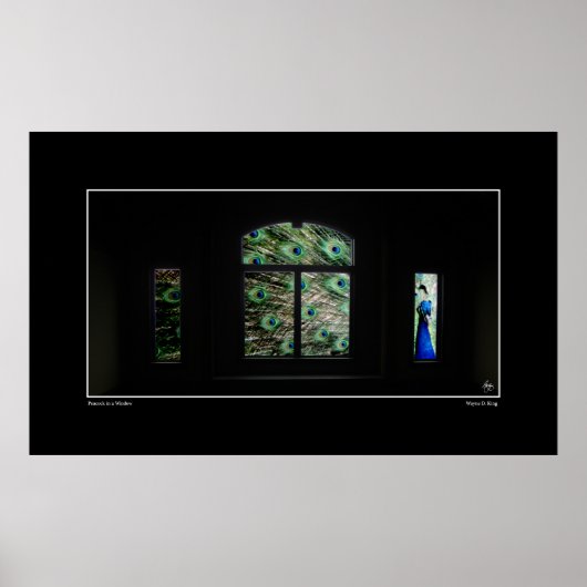 Pfau in einem Windows-Poster Poster (Vorne)