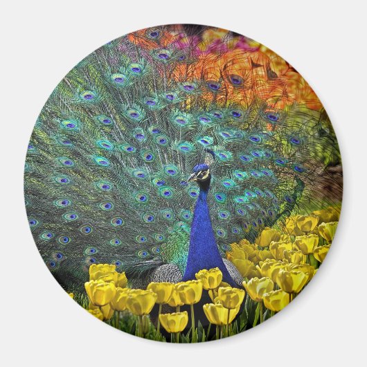 Pfau in Frühlingsblumen #1 Magnet (Vorne)