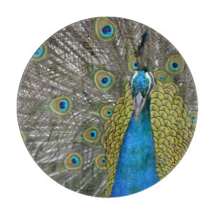 Pfau in Kauai Hawaii Schneidebrett