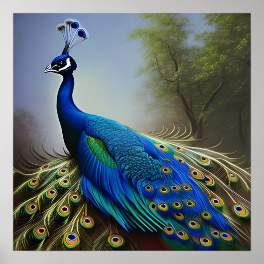 Pfau in Natur Poster (Vorne)