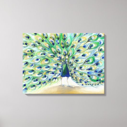 Pfau in San Diego 2013 Leinwanddruck (Vorderseite)