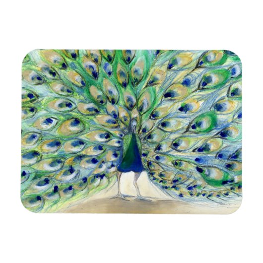 Pfau in San Diego 2013 Magnet (Horizontal)