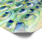 Pfau in San Diego 2013 Poster (Ecke)