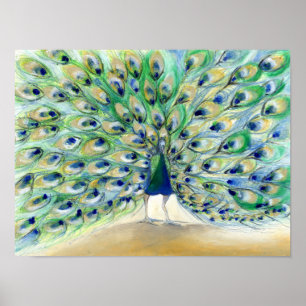 Pfau in San Diego 2013 Poster