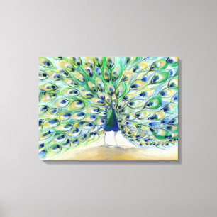 Pfau in San Diego 2 2013 Leinwanddruck