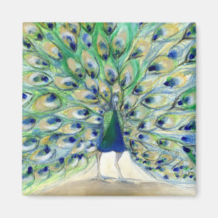 Pfau in San Diego 2 2013 Magnet