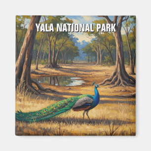 Pfau in Sri Lanka Yala National Park Travel Magnet