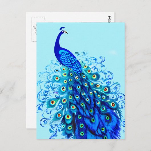 Pfau in Türkis, Cobalt Blue und Aqua Postkarte (Vorne/Hinten)