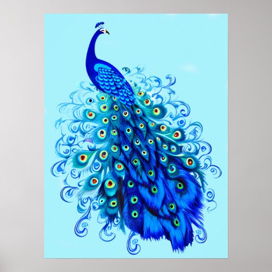 Pfau in Türkis und Cobalt Blue Poster (Vorne)