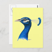 Pfau: Indianerblau Postkarte (Vorne/Hinten)