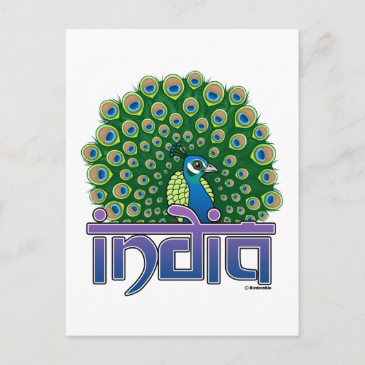 Pfau Indiens Postkarte (Vorderseite)