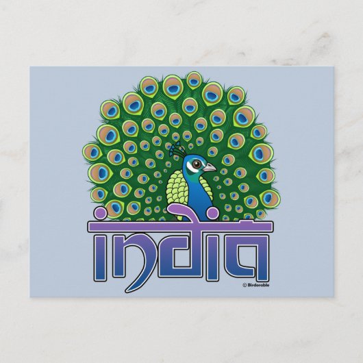 Pfau Indiens Postkarte (Vorderseite)