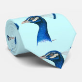 Pfau: Indischer Blauer Krawatte (Gerollt)