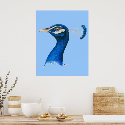 Pfau: Indischer Blauer Poster (Küche)