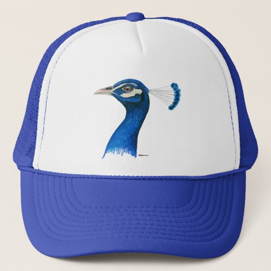 Pfau: Indischer Blauer Truckerkappe (Vorderseite)