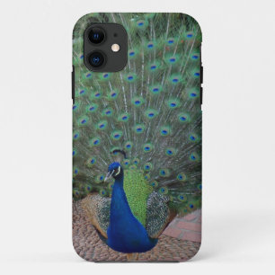 Pfau iPhone 5 Fall Case-Mate iPhone Hülle