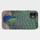 Pfau iPhone 5 Fall Case-Mate iPhone Hülle (Rückseite (Horizontal))