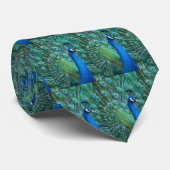 Pfau Kaleidascope Krawatte (Gerollt)