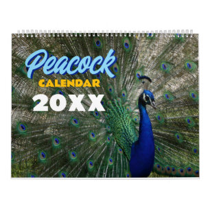 Pfau-Kalender 2027 Wandbild Kalender