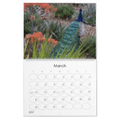 Pfau-Kalender Kalender (Mär 2027)