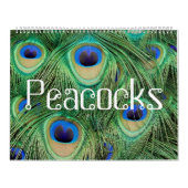 Pfau-Kalender Kalender (Titelbild)