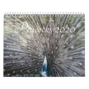 Pfau-Kalender Kalender